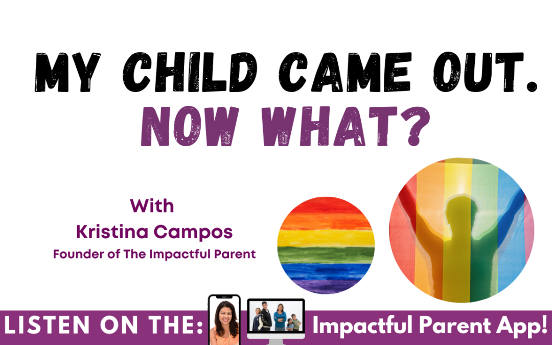 My Child Came Out. Now What? (Support for the Parent of an LGBTQ Child)